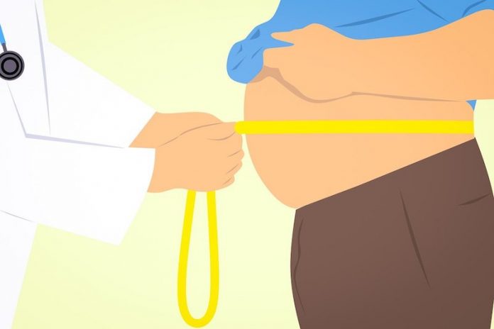 This diet could protect against harmful effects of obesity
