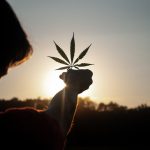 Can cannabis help you ease the mind in the age of COVID-19?