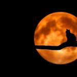 On nights before a full moon, people go to bed later and sleep less