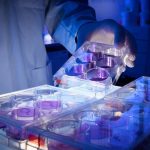 Scientists find promising new antibodies against COVID-19