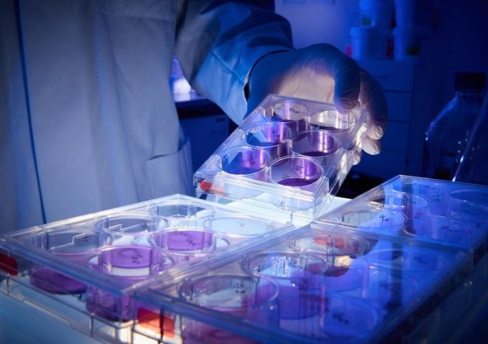 Scientists find promising new antibodies against COVID-19