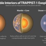 The 7 rocky planets orbiting TRAPPIST-1 may be made of similar stuff