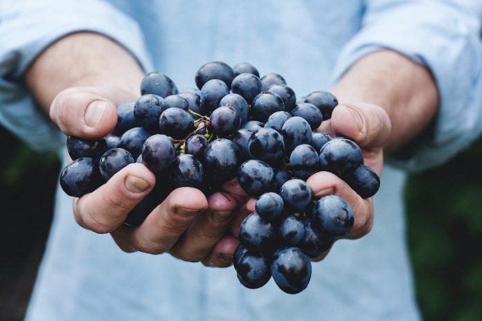 This fruit could protect against sun damage to your skin