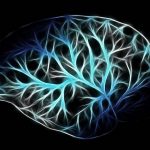 These ‘zombie’ genes come to life in the brain after death