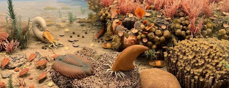 450-million-year-old sea creatures had a leg up on breathing