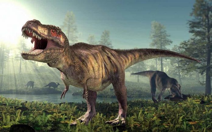 How many Tyrannosaurus rexes roamed North America