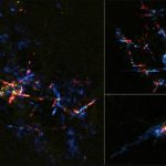 Scientists find baby stars hatch from stellar eggs near galaxy’s center