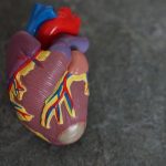 Some cancer survivors may have heart disease risk after hormone therapy
