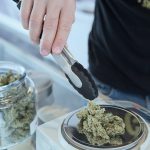 Medical marijuana may help treat chronic itch