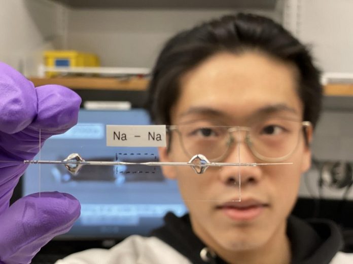 Scientists develop stable, efficient, anode-free sodium battery