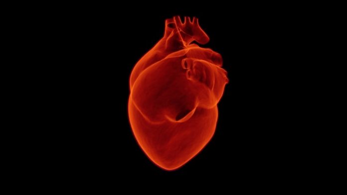 Scientists find a big cause of heart failure