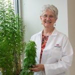 This plant extract can inhibit COVID-19 virus