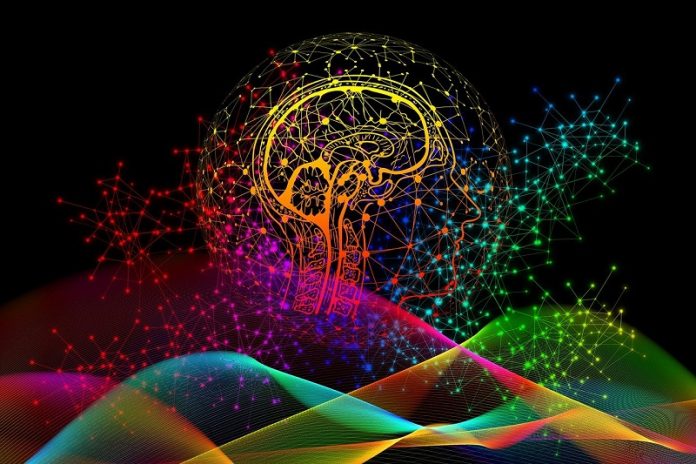 What happens in the brain when we imagine the future