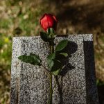 COVID-19 drives largest decrease in US life expectancy since 1943