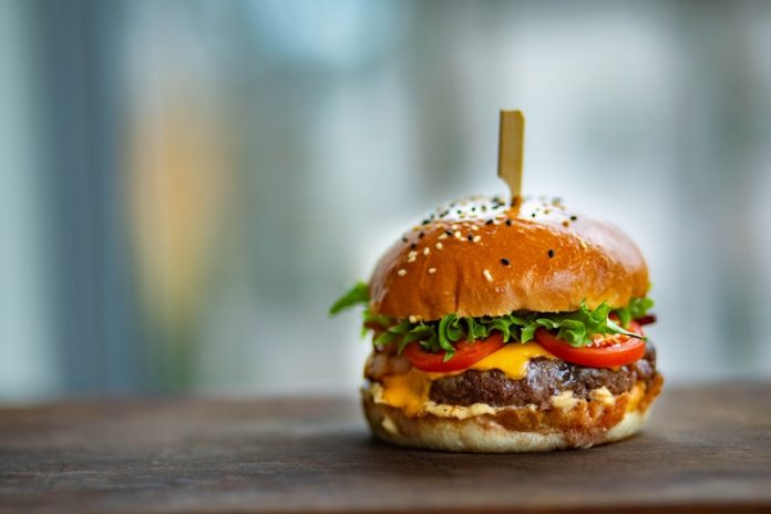 Western high-fat diet can cause chronic pain