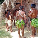 Amazon indigenous group’s lifestyle may hold a key to prevent dementia