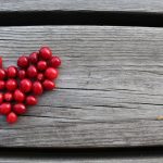Lingonberry juice can help lower high blood pressure