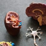 This health problem ‘more than doubles’ risk of kidney failure