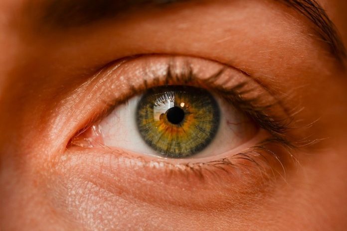 Eye tests could predict Parkinson’s disease 18 months ahead