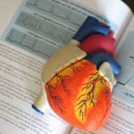 New cancer treatments can reduce the risk of heart damage