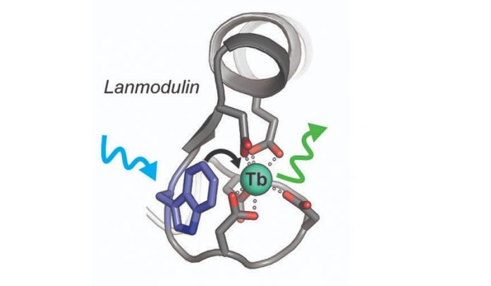 New sensor can detect valuable rare earth element in non-traditional sources