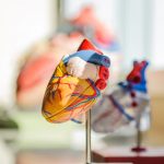 Scientists find DNA signatures linked to heart disease