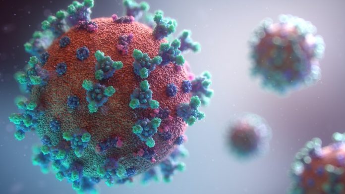 Scientists find new way to prevent broad range of COVID-19 variants