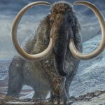 Scientists retrace the lifetime journey of a 17,000-year-old Arctic woolly mammoth