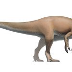 This giant Jurassic dinosaur allosaurus was a scavenger, not a predator