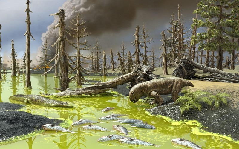 Animals died in 'toxic soup' during Earth's worst mass extinction ...