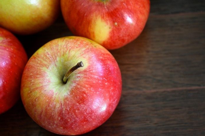 New bacteria ID will help apple juice producers avoid spoilage