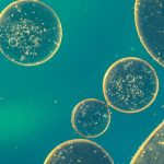 Scientists find new way to extract lithium from contaminated water