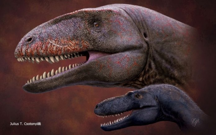 Who was king before Tyrannosaurus