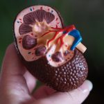 Many people need this simple test to detect chronic kidney disease