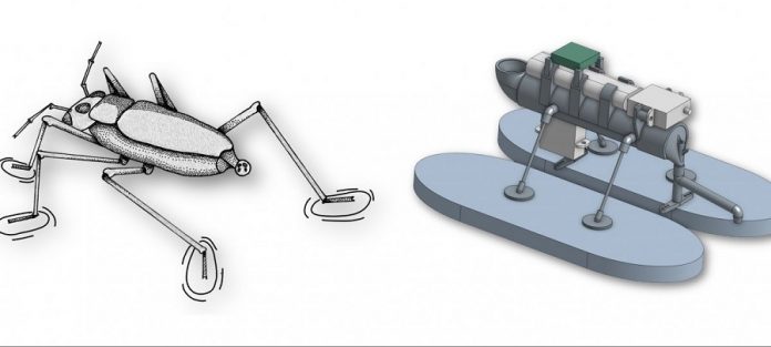 This bio-inspired robot could move like water bugs
