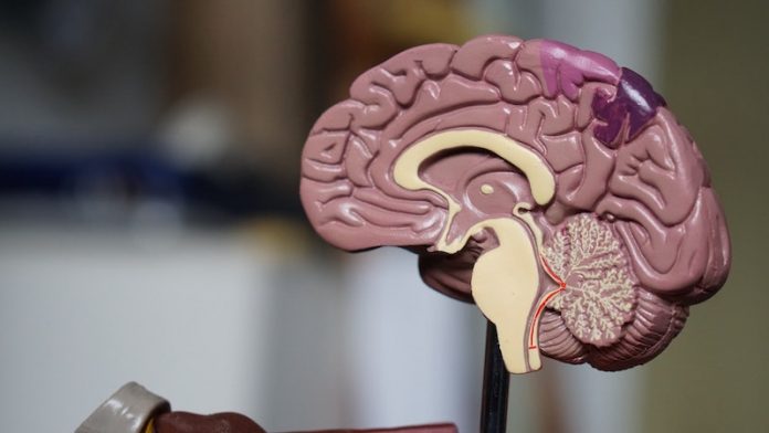This common cancer drug may help reverse Alzheimer's symptoms