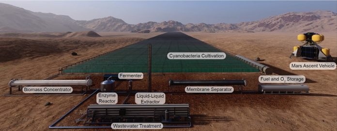 Bacteria could make rocket fuel on Mars, shows study