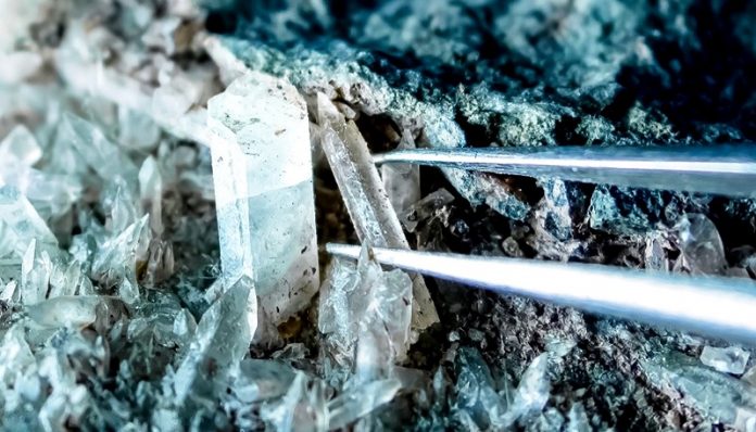 Earth’s deep biosphere holds secrets to evolutionary history