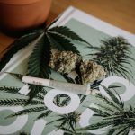 Marijuana may double heart attack risk in these people