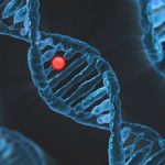 Scientists find gene that doubles death risk in COVID-19