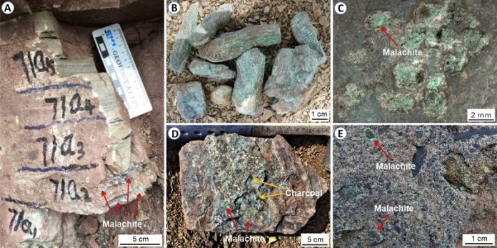 Scientists find new force behind past mass extinction event