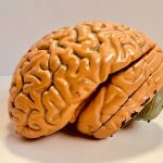 7 things to know about ‘chemo brain’