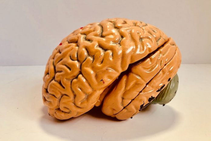 7 things to know about ‘chemo brain’