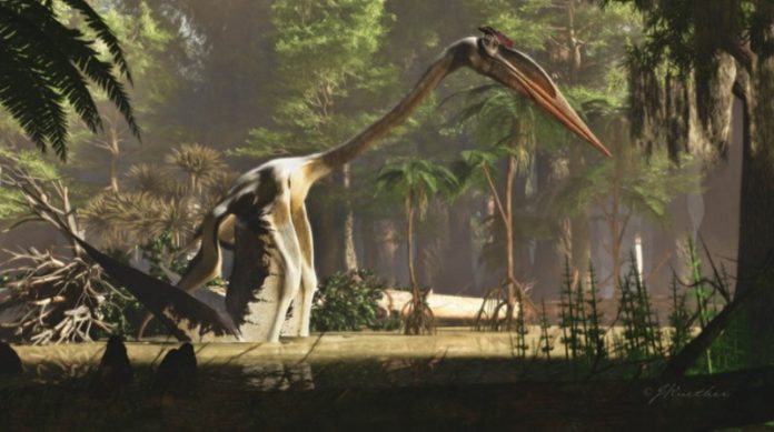 How world’s largest pterosaur got airborne