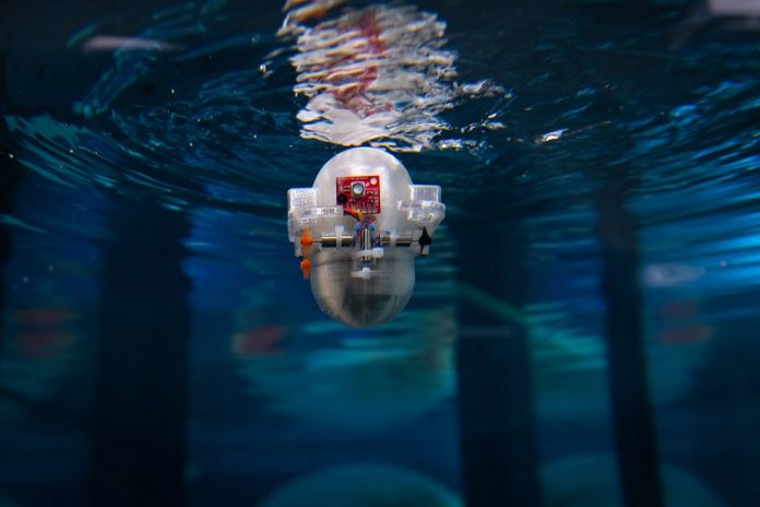 Scientists Teach AI to Navigate Ocean with Minimal Energy