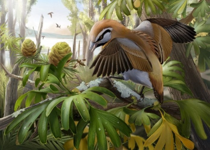 This dinosaur era bird could stick out its tongue