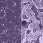 This sodium-based material could help replace lithium-ion batteries one day
