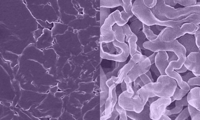 This sodium-based material could help replace lithium-ion batteries one day
