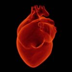Who has the highest risk of heart damage in COVID-19? This test can tell