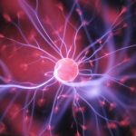 How the brain knows when to take out the trash